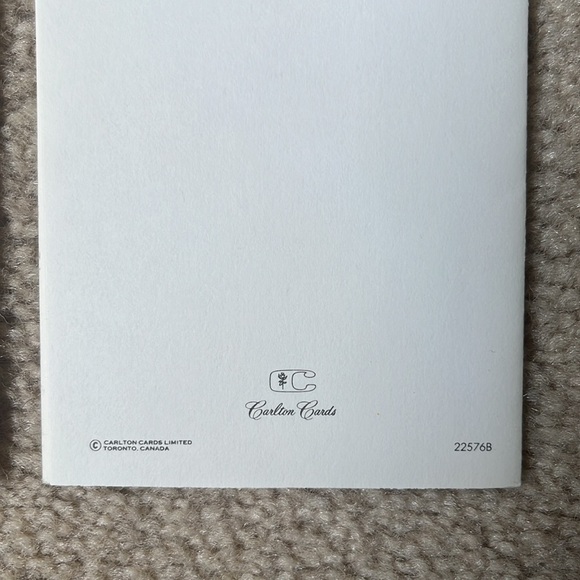 Vintage Carlton Cards Stationery Blank Greeting Card & Envelope - Picture 6 of 10
